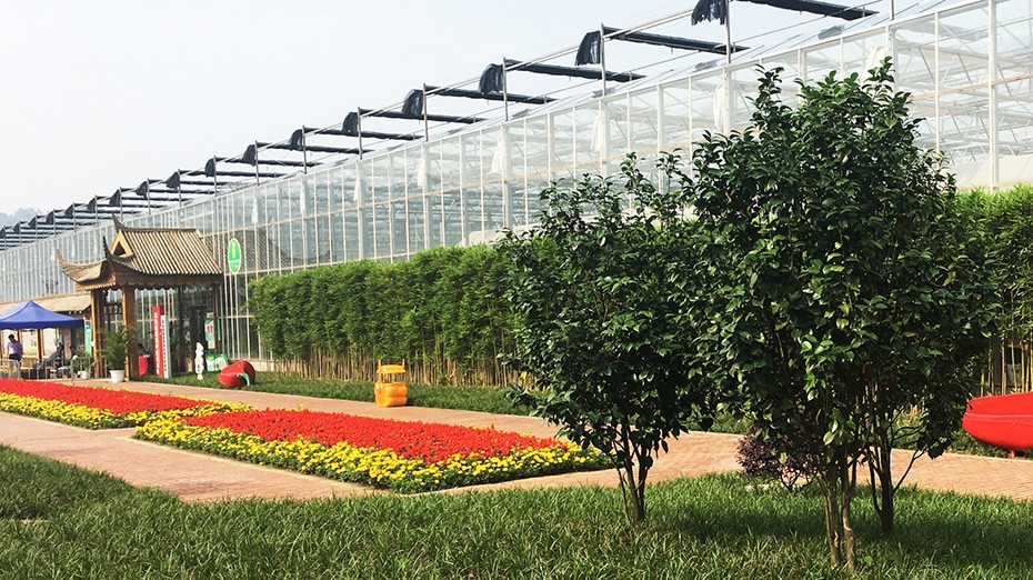 2026世界杯园林绿化维护